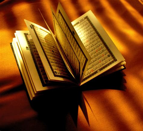 Tujuan Dan Fungsi Mata Pelajaran Al Quran Hadits Jejak Pendidikan