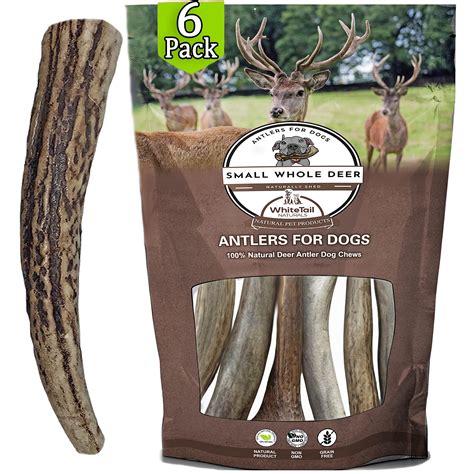 Are Elk Antlers Safe For Dogs Teeth