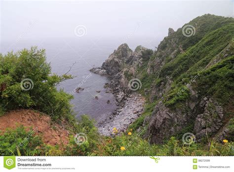 Foggy Sea Scape Rocky Shore Stock Image Image Of Nature Rocks