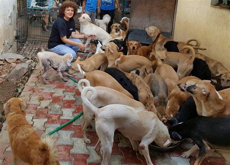 Dog Shelters In Kolkata Blajewka