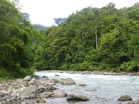 Rasa tak perlu kot qis habaq cerite neh tapi aku perlu coz aku baru tahu dari mana asal nombor ic aku neh. Pin on Living in the tropics
