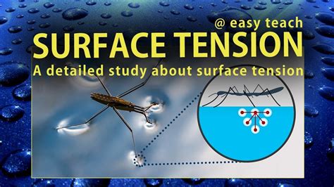 Surface Tension Youtube
