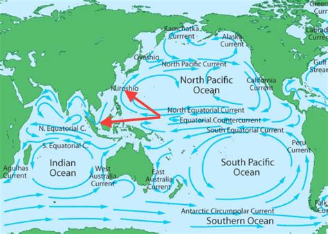 5 Oceans In The World Depths Currents And Explanation