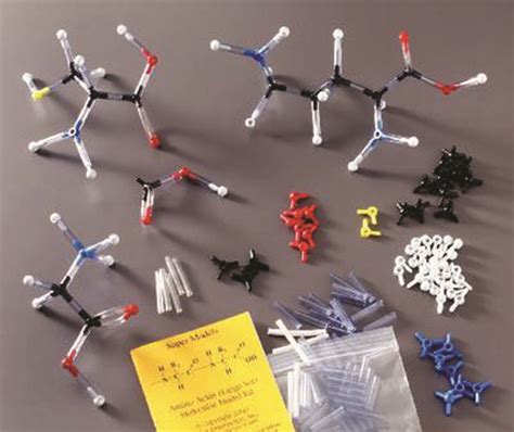 Amino Acids Super Model Kit King Mariot Medical Scientific Supplies