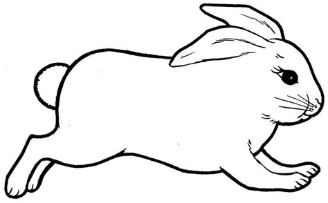 Kelinci menjadi salah satu hewan yang digemari anak karena. 10 Mewarnai Gambar Kelinci