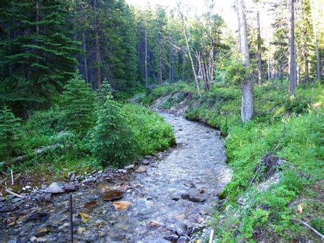 Mountain Streams: Observing Differences - Watershed Notes