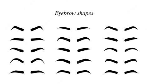 Premium Vector Set Of Eyebrows Shape Eyebrow Shapes Various Types Of Eyebrows Makeup Tips