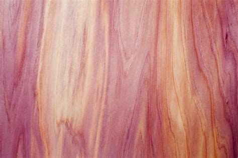 Western Red Cedar Texture Stock Photo Download Image Now Istock