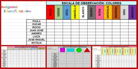 Registros De Observación 3 4 5 Años Hojas De Cálculo Editables