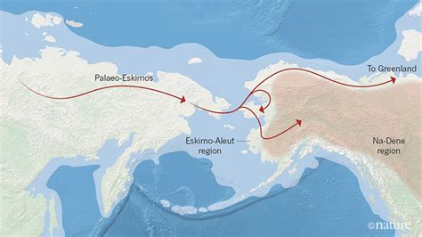 The Lineages Of The First Humans To Reach Northeastern Siberia And The