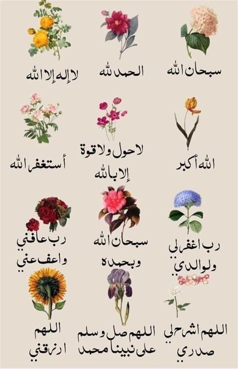 Nama Bunga Dalam Bahasa Arab Dahlia Bunga Dalam Bahasa Arab Kamus