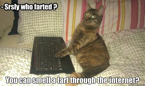 Srsly Who Farted You Can Smell A Fart Through The Internet