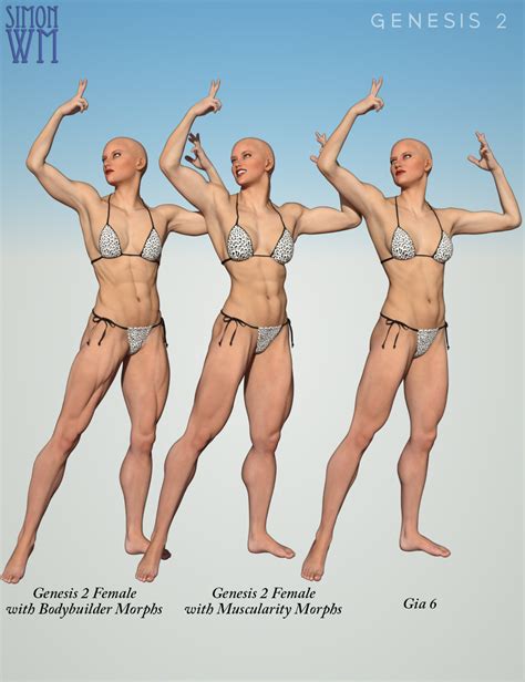 Muscularity Morphs For Genesis Female S Daz D