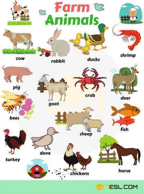 Domestic Animals Farm Animals Useful List And Great Images English
