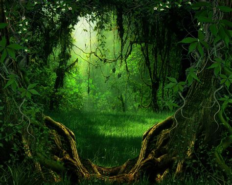 Bg Nature Stock By Moonglowlilly On Deviantart