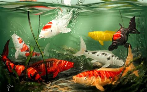 Animated Koi Fish Wallpaper Posted By Andrew Timothy