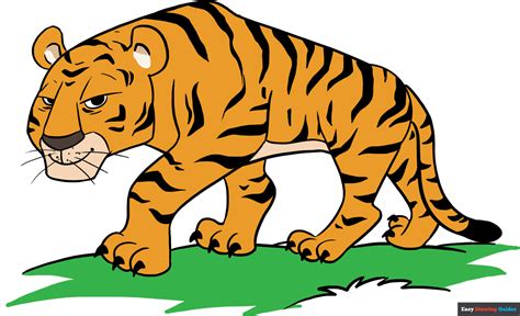 How To Draw A Cartoon Tiger In A Few Easy Steps Easy Drawing Guides