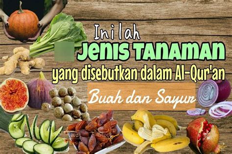 Buah Dan Sayuran Yang Disebut Dalam Al Qur An Sebagian Tumbuh Di Indonesia