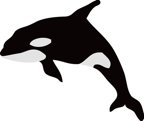 Orca Clipart Silhouette Orca Silhouette Transparent Free For Download