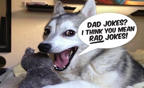 20 Of The Best Or Worst Funny And Clean Dad Jokes For Fathers Day Anything Pawsable