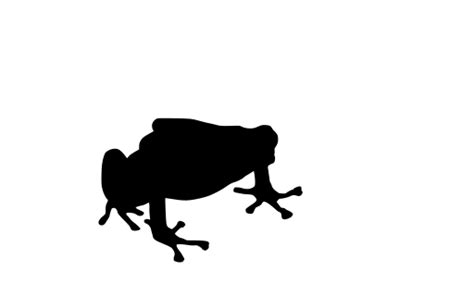 Svg Frog Free Svg Image And Icon Svg Silh