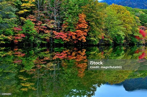 Autumn Colors Of Kagamiike Nagano Japan Stock Photo Download Image
