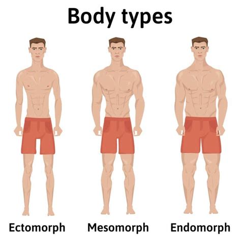 Ectomorph Workout The Skinny Guys Training Guide Fitness Volt