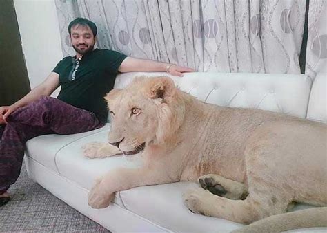 Meet Multani Man Who Keeps Pet Lion In His Bedroom Pakistan Dunya News