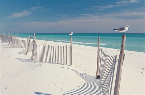 Image result for florida | Clearwater beach florida, Visit florida, Gulf breeze florida