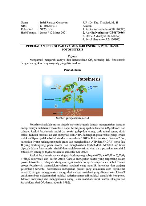 PERUBAHAN ENERGI CAHAYA MENJADI ENERGI KIMIA: HASIL FOTOSINTESIS - Nama