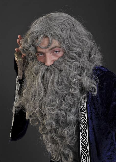 Dumbledore Style Grey Wizard Wig And Beard Set Dumbledore Style Grey