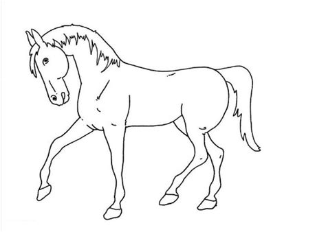 Detail Gambar Sketsa Kuda Koleksi Nomer 43