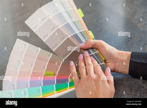 Color Selection According To Ral A Woman Designer Chooses A Shade From