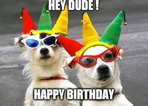 101 Funny Happy Birthday Dog Memes For Paw Lovers Everywhere Birthday