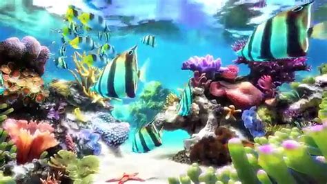 Sim Aquarium Screensaver And Live Wallpaper Видео Dailymotion