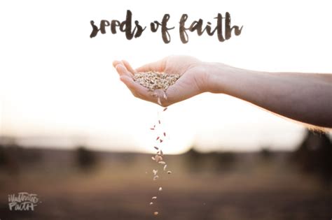 Seeds Of Faith Illustrated Faith Illustrated Faith