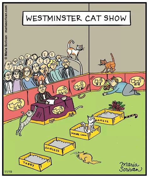 Mystery Fanfare Cartoon Of The Day Westminster Cat Show