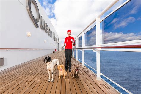 Are Dogs Allowed On Cruise Ships Here Are Cruises That Allow Pets