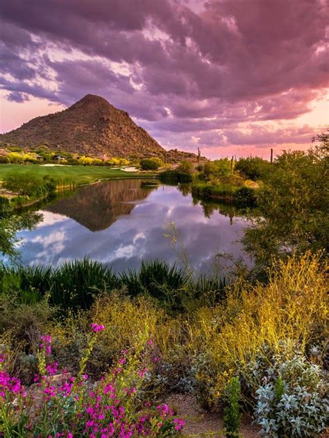 Travel Gallery Sonoran Desert Arizona United States Landscape Art