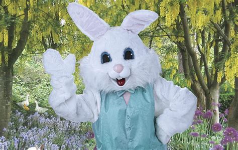 Free Easter Bunny Photos In League City Cw39 Houston