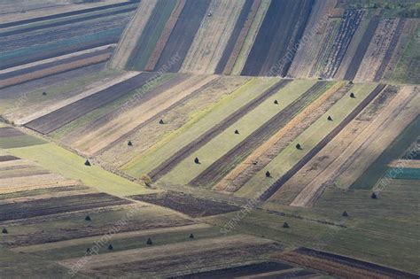 Patterns Of Agricultural Plots Stock Image C0413630 Science