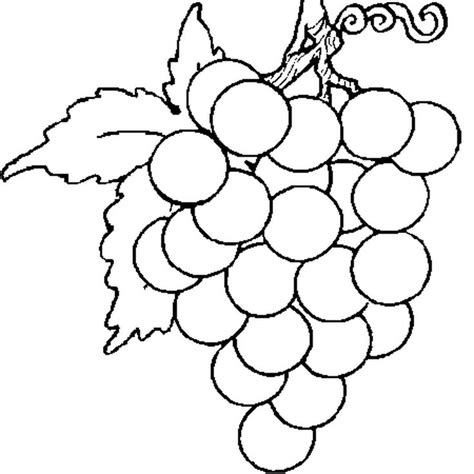 Voici un dessin à colorier de chien de noel. Coloriage Grappe de Raisin en Ligne Gratuit à imprimer | Grappe de raisin, Coloriage, Coloriage ...