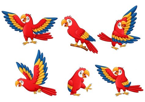 Set Of Funny Parrot Cartoon Illustration Premium Vector