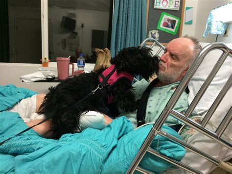 Mikee and Molly! - San Francisco SPCA Companion Chronicles