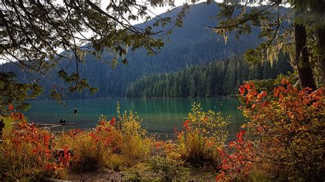 Hd Wallpaper Nature Autumn Lake Canada Beautiful Forest