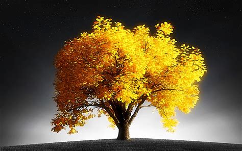 Golden Tree Wallpapers Wallpaper Cave