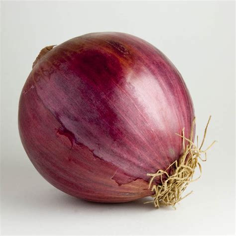 Cutiegarden Onion