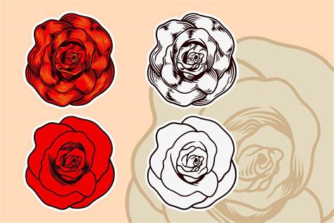 Rose Flower Vector Illustration Set 10424467 Vector Art At Vecteezy