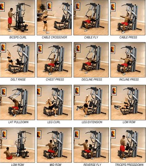 Multi Gym Instructions Boflex Workouts Gym Workouts Machines Home Gym