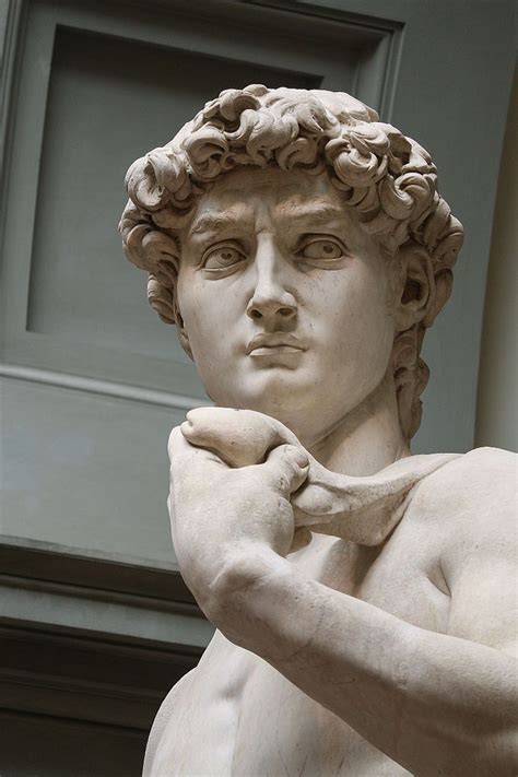 david by michelangelo buonarroti 1504 marble sculpture art renaissance art portrait